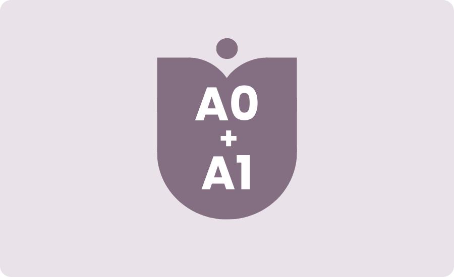 Intensive Dutch summer courses A0-A1