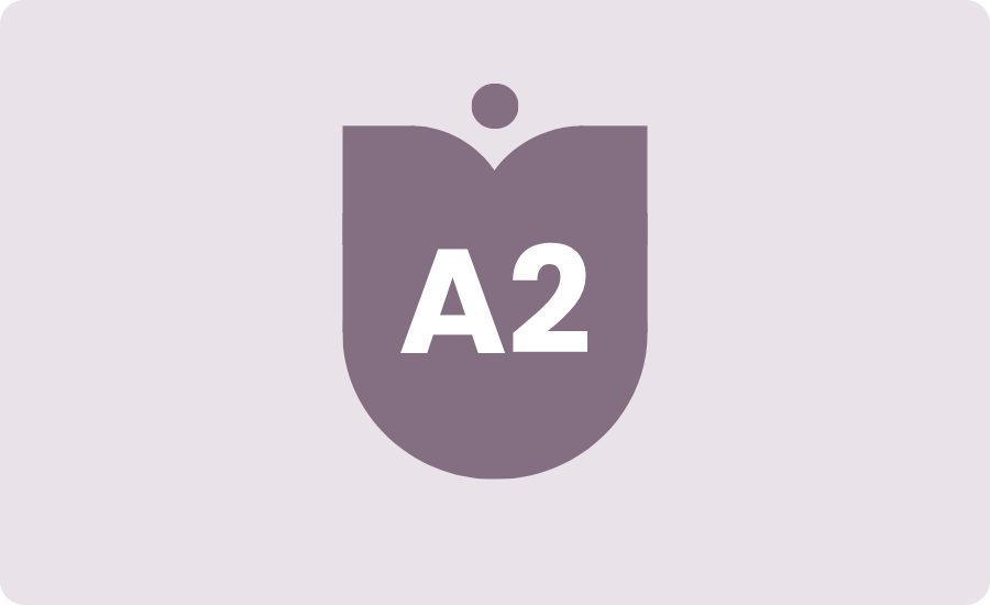 Intensive Dutch summer courses A1-A2