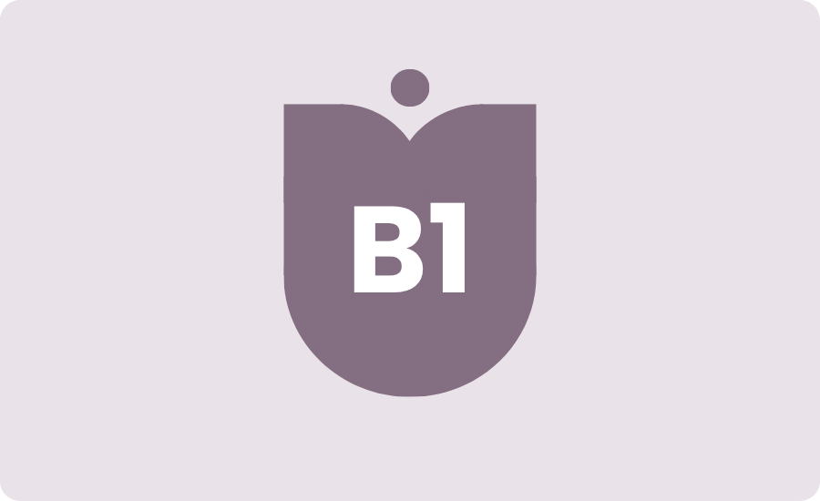 Intensive Dutch summer courses A2-B1